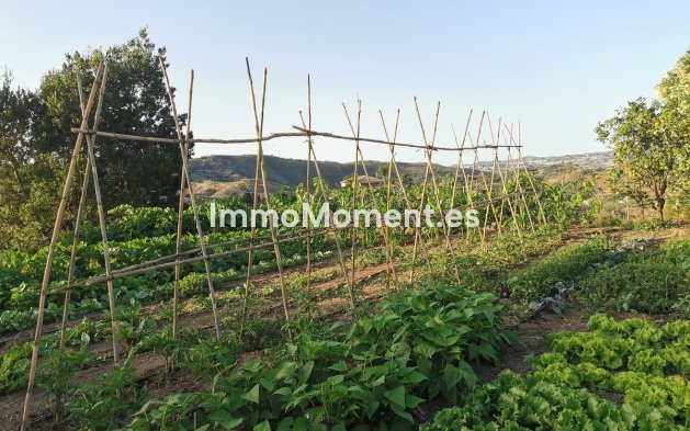 Reventa - Villa - Interior  - Alhaurín el Grande Centro