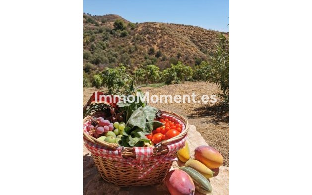 Reventa - Villa - Interior  - Alhaurín el Grande Centro
