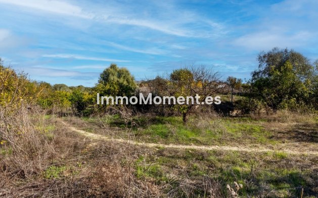 Revente - Maison de campagne - Intérieur                       - Cártama Centro
