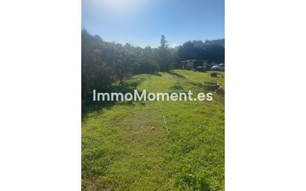 Wiederverkauf - Landhaus - Estepona  - Estepona Centro