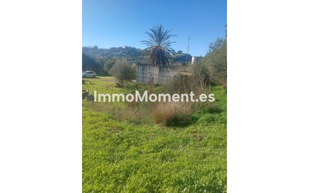 Wiederverkauf - Landhaus - Estepona  - Estepona Centro