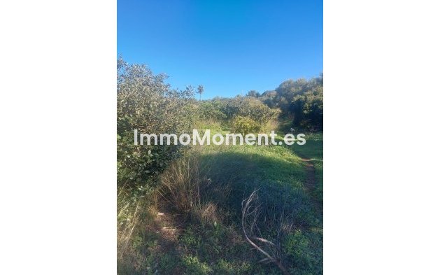 Wiederverkauf - Landhaus - Estepona  - Estepona Centro