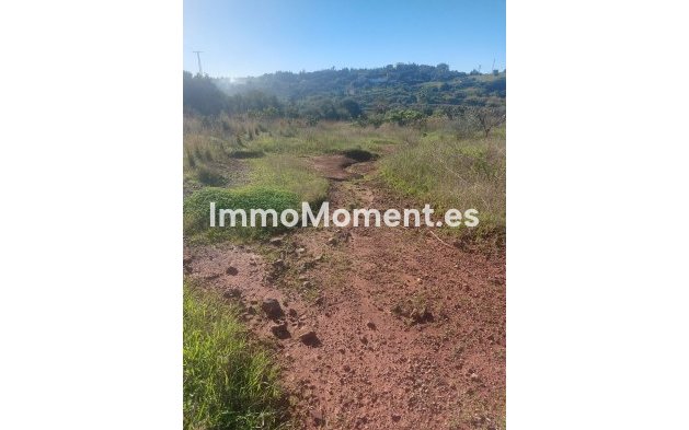 Wiederverkauf - Landhaus - Estepona  - Estepona Centro