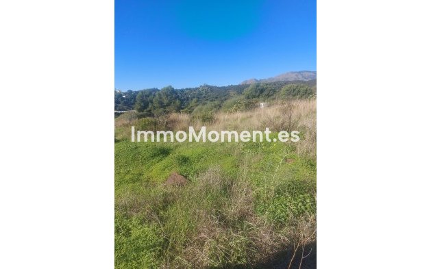 Wiederverkauf - Landhaus - Estepona  - Estepona Centro