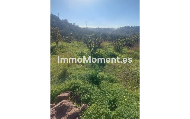 Wiederverkauf - Landhaus - Estepona  - Estepona Centro