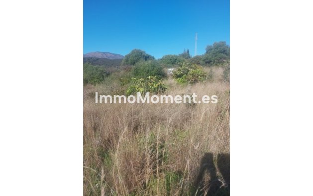 Wiederverkauf - Landhaus - Estepona  - Estepona Centro