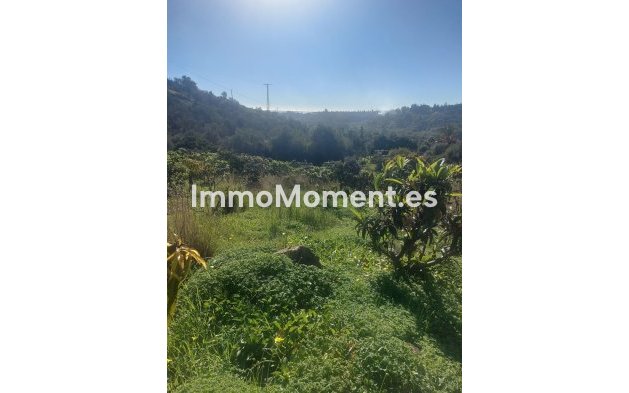 Wiederverkauf - Landhaus - Estepona  - Estepona Centro