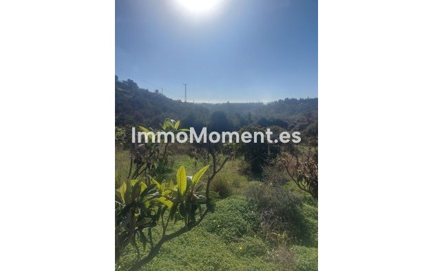 Wiederverkauf - Landhaus - Estepona  - Estepona Centro