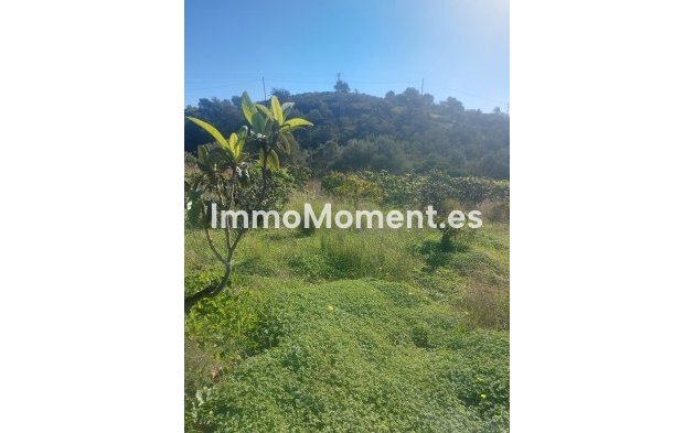 Wiederverkauf - Landhaus - Estepona  - Estepona Centro