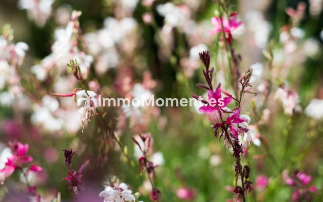 Wiederverkauf - Wohnung - Benalmadena - Benalmadena Centro