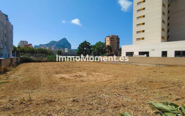 Revente - Terrain - Calpe - Calpe Centro