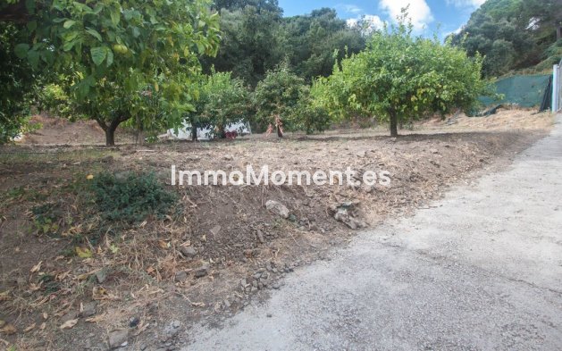 Revente - Maison de campagne - Estepona  - Estepona Centro