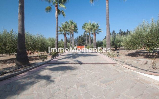 Revente - Maison de campagne - Estepona  - Estepona Centro