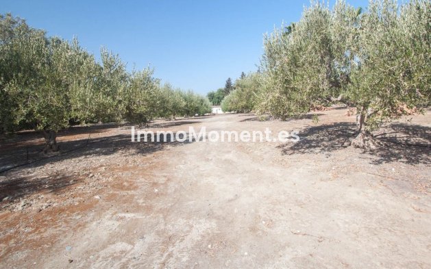 Revente - Maison de campagne - Estepona  - Estepona Centro