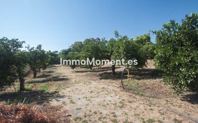 Revente - Maison de campagne - Estepona  - Estepona Centro