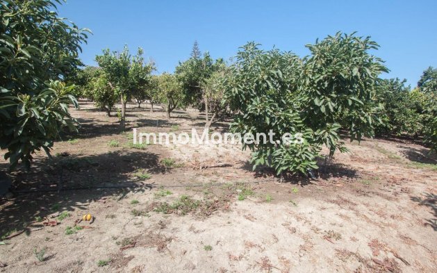 Revente - Maison de campagne - Estepona  - Estepona Centro