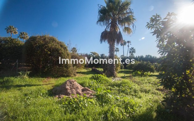 Wiederverkauf - Landhaus - Estepona  - Estepona Centro