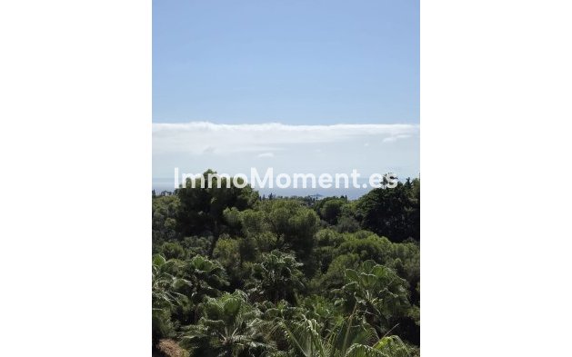 Wiederverkauf - Wohnung - Marbella - Sierra Blanca