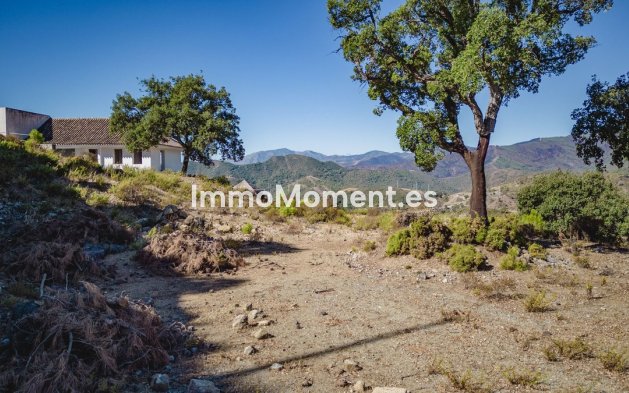 Reventa - Terreno - Benahavís - La Zagaleta