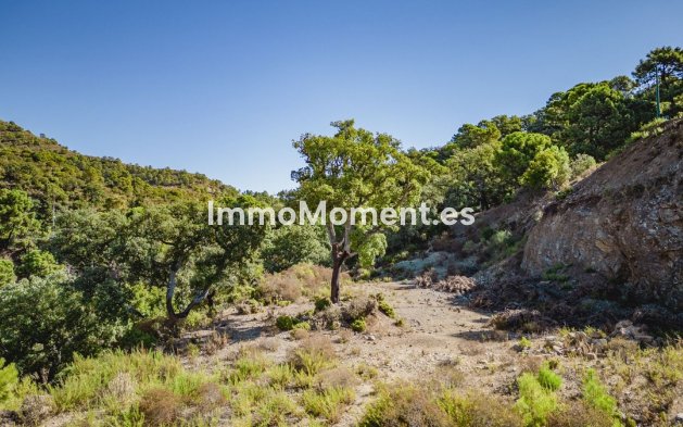 Reventa - Terreno - Benahavís - La Zagaleta