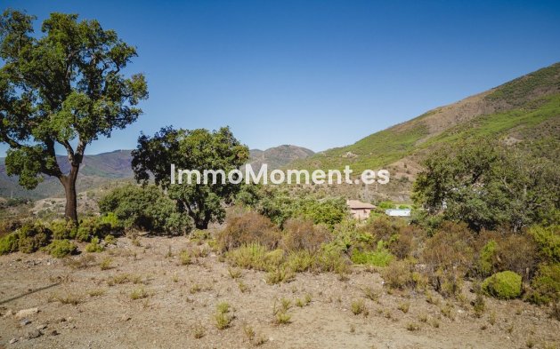 Reventa - Terreno - Benahavís - La Zagaleta