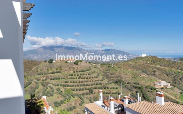 Bestaande woning - Appartement - Mijas - Calahonda