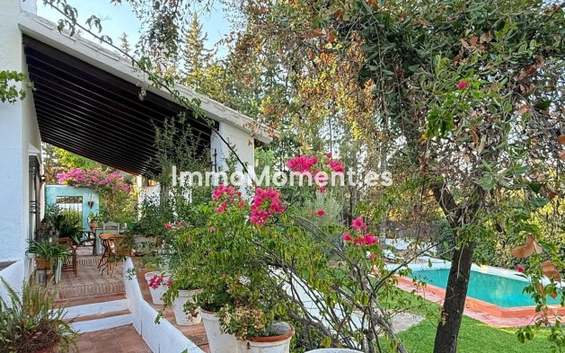 Reventa - Casa de campo - Interior  - Alora