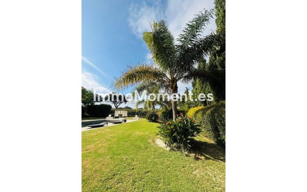 Wiederverkauf - Freistehende Villa - Sotogrande - San Roque Club