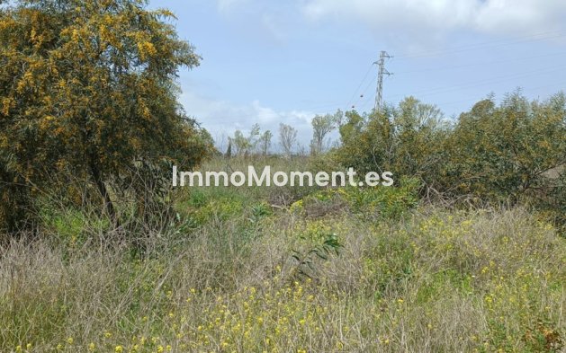 Revente - Terrain - Marbella - The Golden Mile