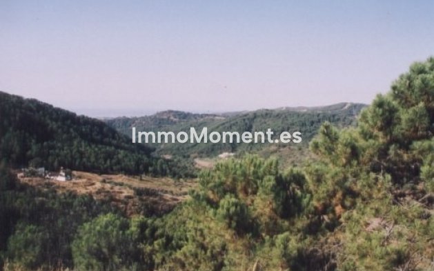 Revente - Maison de campagne - Estepona  - Estepona Centro