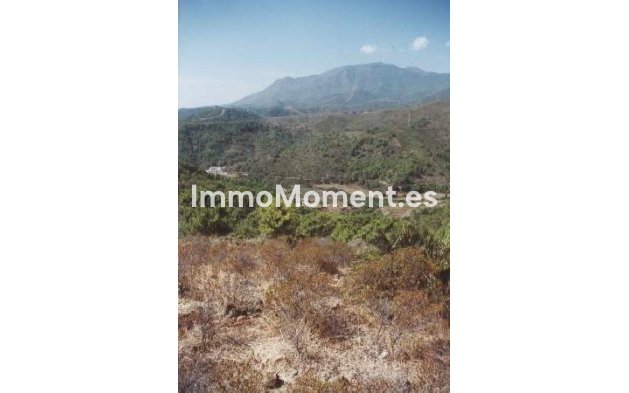 Revente - Maison de campagne - Estepona  - Estepona Centro