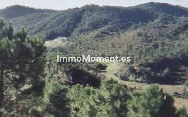 Revente - Maison de campagne - Estepona  - Estepona Centro