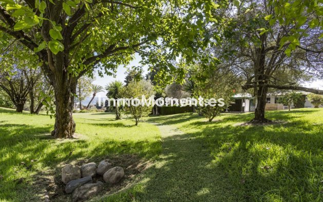 Revente - Appartement - Marbella - Río Real