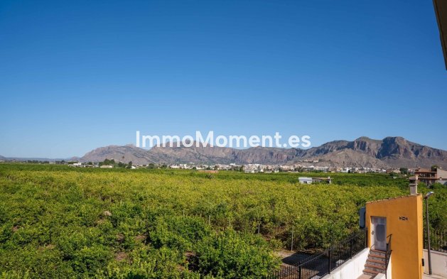 Revente - Villa - Orihuela - Orihuela Centro