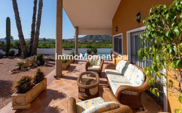 Revente - Villa - Orihuela - Orihuela Centro