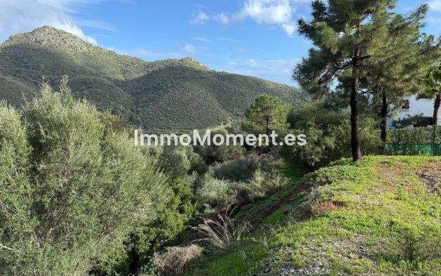 Revente - Terrain - Benahavís - Benahavís Centro