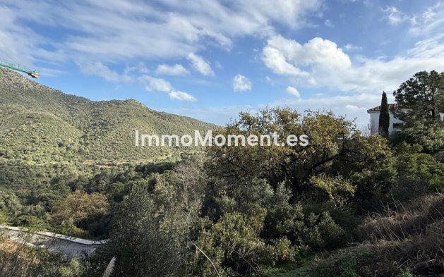 Revente - Terrain - Benahavís - Benahavís Centro