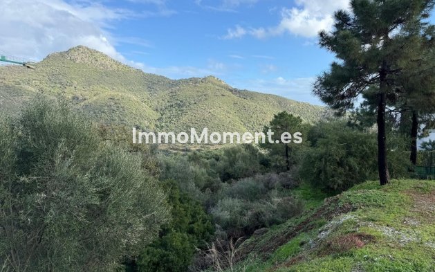 Revente - Terrain - Benahavís - Benahavís Centro