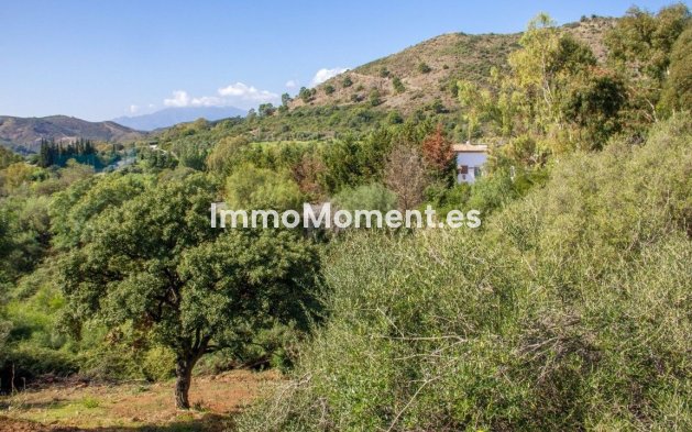 Reventa - Terreno - Benahavís - Benahavís Centro