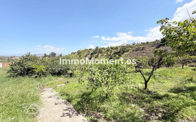 Revente - Maison de campagne - Intérieur                       - Coín