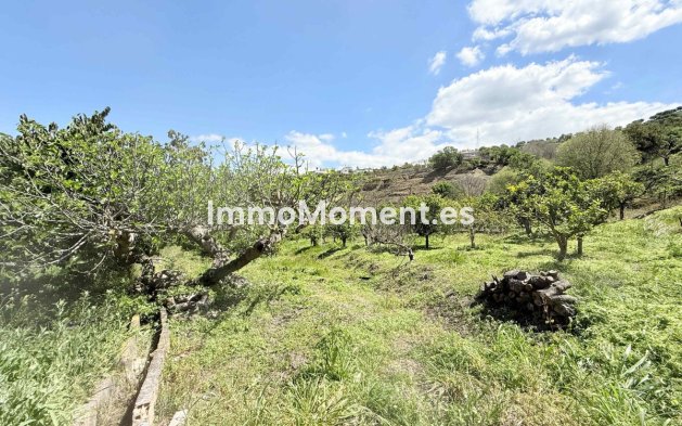 Revente - Maison de campagne - Intérieur                       - Coín