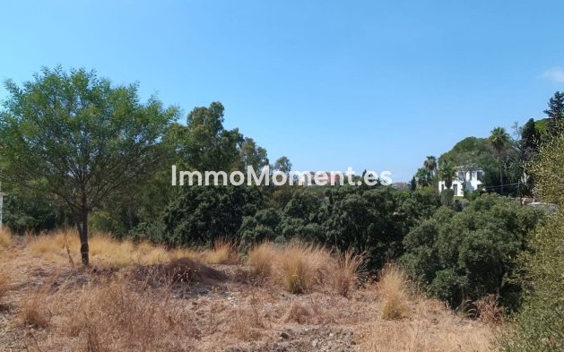 Wiederverkauf - Land - Marbella - Elviria
