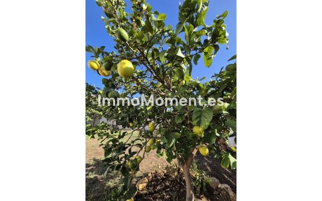 Wiederverkauf - Villa - Marbella - San Pedro de Alcántara