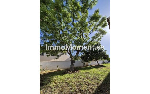 Wiederverkauf - Villa - Marbella - San Pedro de Alcántara