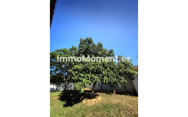 Wiederverkauf - Villa - Marbella - San Pedro de Alcántara