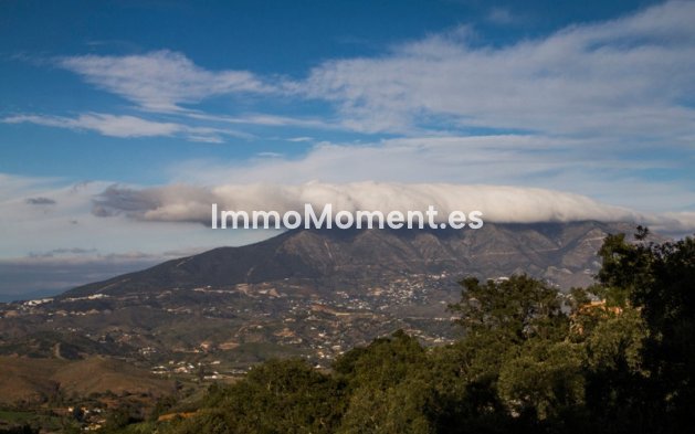 Wiederverkauf - Villa - Marbella - La Mairena