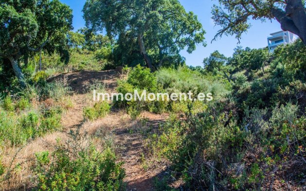 Wiederverkauf - Land - Marbella - La Mairena