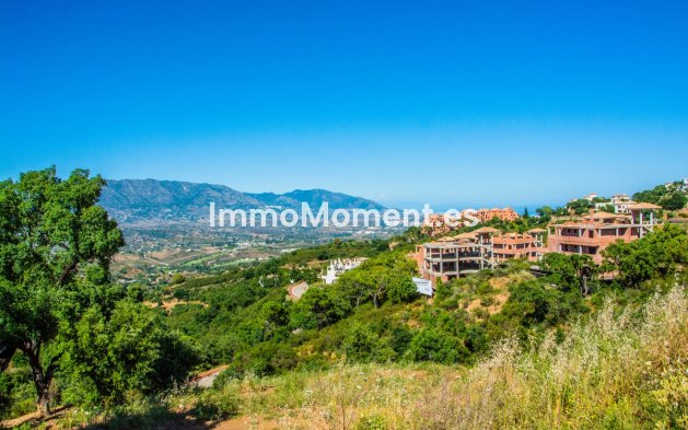 Construction neuve - Villa - Marbella - La Mairena