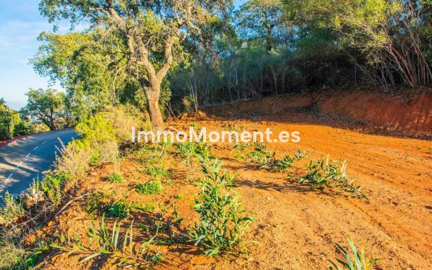 Construction neuve - Terrain - Marbella - La Mairena