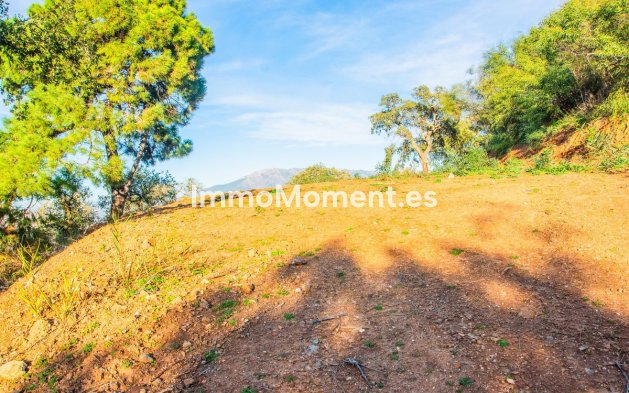 Construction neuve - Terrain - Marbella - La Mairena